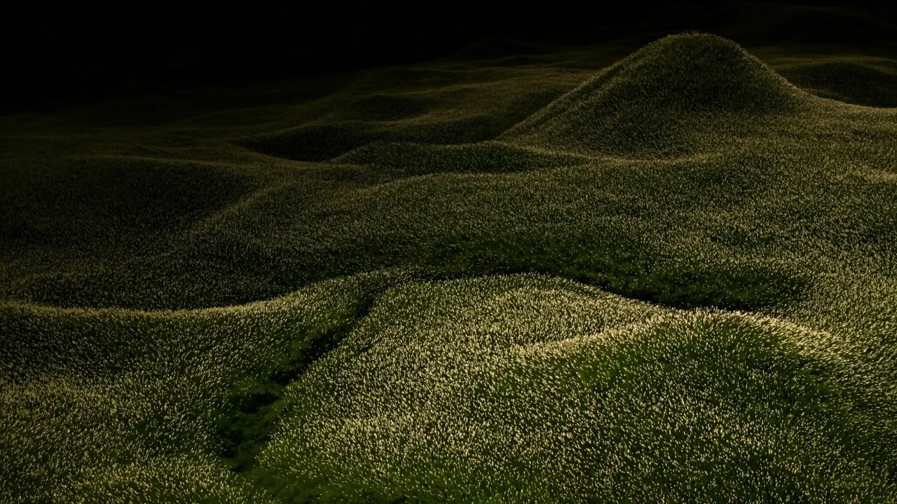 A landscape of pale filaments arranged across rolling green terrain